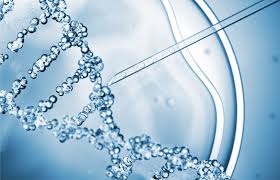 Генная инженерия и редактирование ДНК: возможности и риски