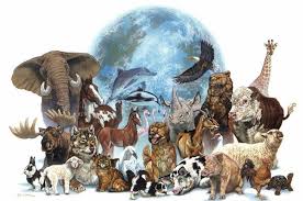 Как человеческая деятельность влияет на биоразнообразие