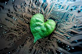 Зелёные технологии в IT: как индустрия борется с экологическим следом