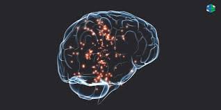 Нейронаука памяти и пластичности: от синапсов до сетей — методы исследования и проверяемые гипотезы