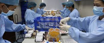 Подготовка к пандемиям и система «One Health»: комплексный подход от предупреждения к оперативному реагированию