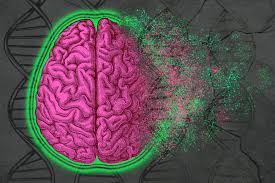 Сознание и его нейронная корреляция: современные теории, экспериментальные подходы и этические следствия