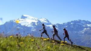 Медицинский + веллнесс туризм — интеграция клиники и сервиса: стандарты, цепочка качества и коммерциализация