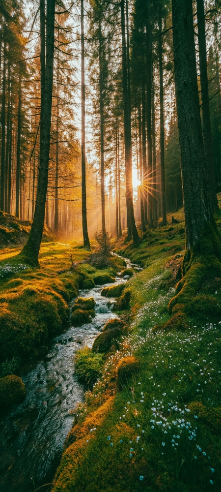 Frame Between — “The Last Flame”