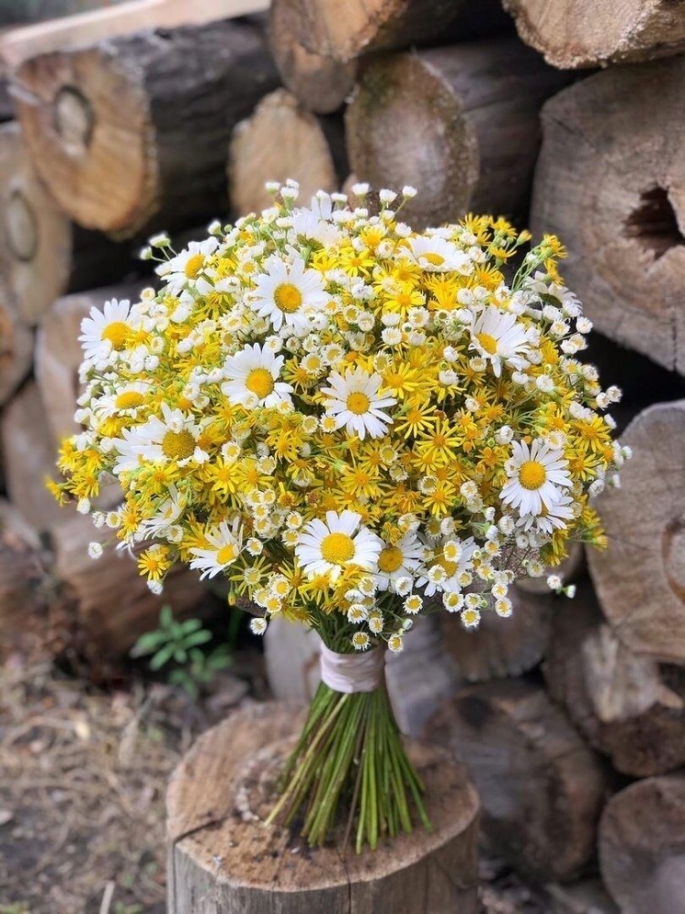 Букет мелких ромашек от бренда Milissa